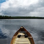 BWCA 1289