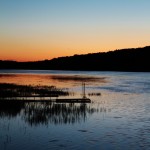BWCA 1326