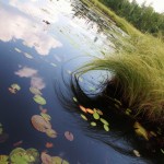 BWCA 604